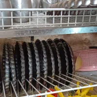 کار گر ساده خانم برای ظرف شویی