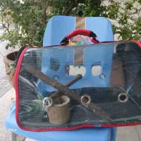 کیف حمل عروس وطوطی سانان