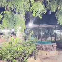 ریسه (ریسه نور)|ریسه و چراغ تزئینی|کیش, |دیوار