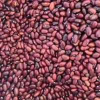 لوبیا قرمز عمده (قیمت رقابتی)