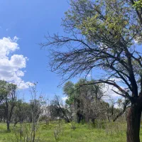زمین-برای-باغ-ویلا-محمودآباد-نمونه