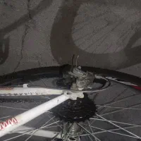 دوچرخه ویوا اصل|دوچرخه، اسکیت، اسکوتر|فردیس, فردیس|دیوار