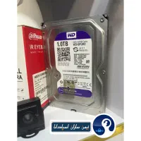 هارد دوربین مداربسته وسترن بنفش H256