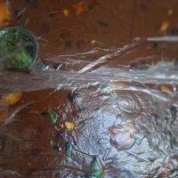 رب انار  لواشک