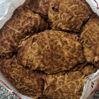 شاگرد
