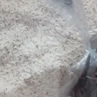 شاه برنج امساله|خوردنی و آشامیدنی|تولم شهر, |دیوار