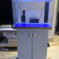 اکواریوم ماهیران شرکتی