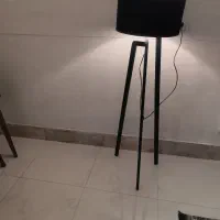 آباژور ایستاده