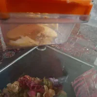 رنده|خردکن، آسیاب، غذاساز|میانه, |دیوار