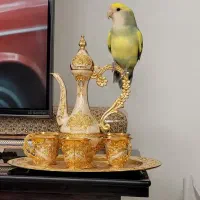 کوتوله برزیلی کاملا دستی|پرنده|اصفهان, باغ نگاره|دیوار