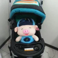 کالسکه دلیجان|کالسکه و لوازم جانبی|همدان, |دیوار