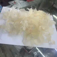 پخش عمده کتیرا سفید مفتولی و ثعلب قلوه وپنجه وغیره