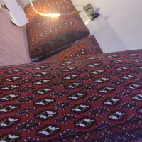پشتی کافه ای