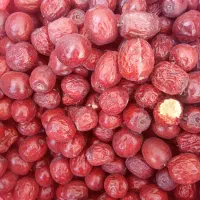 عناب ریزودرشت