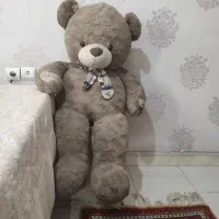 خرس صد درصد خارجی