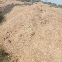 کاه گندم فروشی ادرس زیارتعلی رودخانه بر