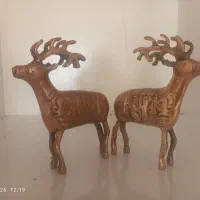 برنج