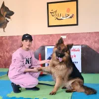 آموزش سگ-تربیت سگ-مربی سگ