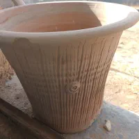 گلدان بزرگ|گل و گیاه طبیعی|سرولایت, |دیوار