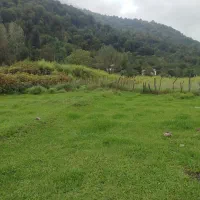 فروش زمین در گردخون طرح هادی