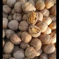 انبار خشکبار گردو بادام انجیر تخمه پسته کشمش و|خوردنی و آشامیدنی|اصفهان, رهنان|دیوار