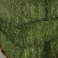 یونجه انباری