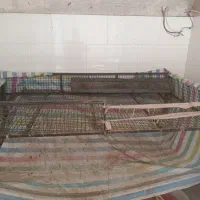 میز مرغ فروشی فوری