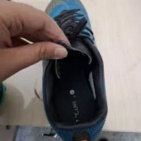 کفش چمنی درجه 1|کیف، کفش، کمربند|میاندوآب, |دیوار