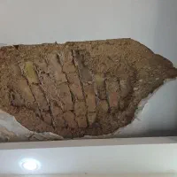 گچکاری افسریه پیروزی خاوران کیانشهر مشیریه بازار|خدمات پیشه و مهارت|تهران, مسعودیه|دیوار