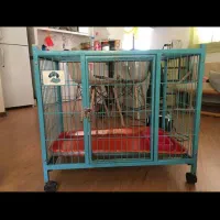 قفس میله ای سگ
