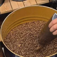 رست اجرتی 13تومامن