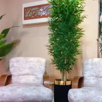 گل مصنوعی|گل مصنوعی|گرگان, |دیوار