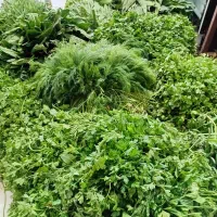 سبزی مارکت ریحون