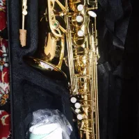 ساکسیفون آلتو سلمر|سازهای بادی|کرمان, |دیوار