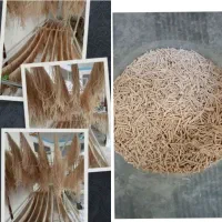 رشته آش و پلویی خانگی(محلی)