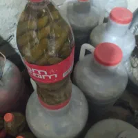 خیارشور ممتاز