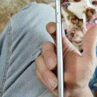آیفون 6s plus|موبایل|فولادشهر, B1|دیوار