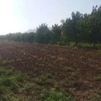 کارگر دائم برای خانه باغ محدوده کارخانه سیمان غرب