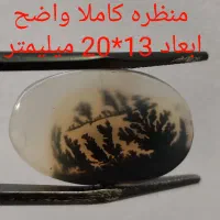 حراجی شجر شماره دو
