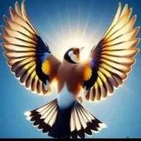 سهره درجه یک فوق الممتاز