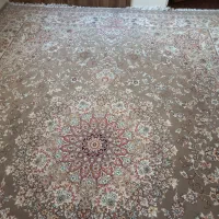 فرش12متری|فرش|مشهد, تربیت (صدف)|دیوار