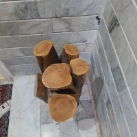 تنه چوب چنار بسیار محکم