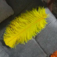 پر علامت|صنایع دستی و سایر لوازم تزئینی|تهران, هفده شهریور|دیوار