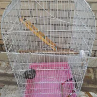 قفس سایزبزرگ 5درب پرنده