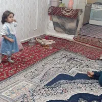 رهن واجاره آپارتمان ۵۵متری