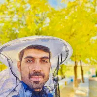 شهر عسل در بندرعباس  ...|خوردنی و آشامیدنی|بندرعباس, |دیوار