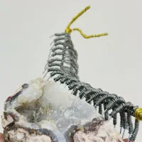 (مجسمه هزارپا با سنگ عقیق سلیمانی بی نظیر)