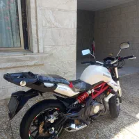بنلی 300 جفت 97