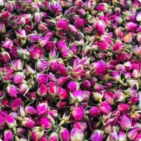 گل محمدی تازه و خشک