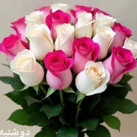 مشورت وارائه راهکار